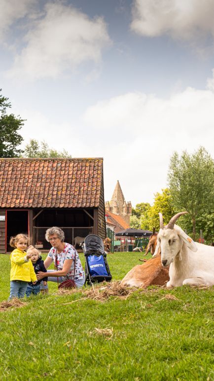 Kinderboerderij 6
